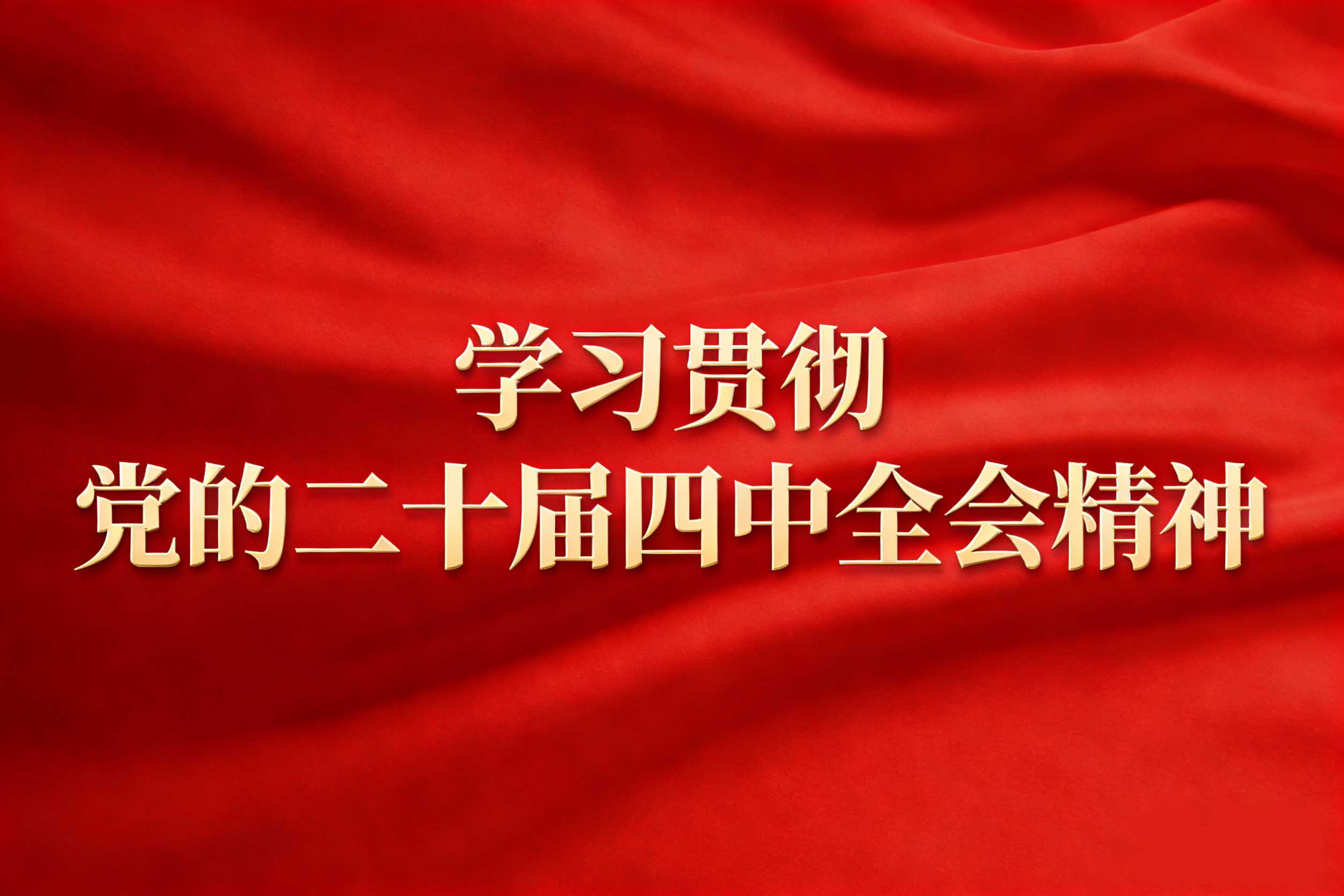 学习贯彻党的二十届四中全会精神