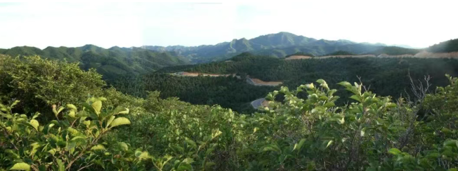 大黑山：邂逅自然的诗意与壮美