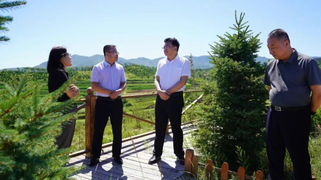 张启航到老府镇、王府镇调研